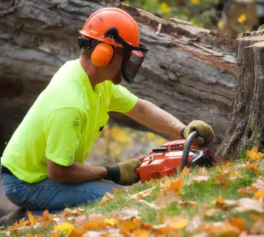 tree services Pembroke